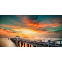 Trevor Newman - Zetty Into Sunset  