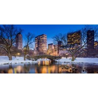 Ben McFrey - Gapstow Bridge in Winter, Central Park  