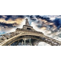 Luz Adelbert - View from under the Eiffel Tower  