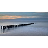 Sheldon Gibson - Pier into Water  
