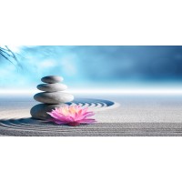 Omar Olavi - Pink Lily Stones On Sand  