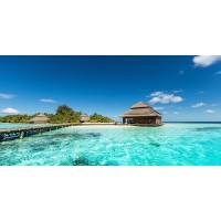 Dolores Flowers - Wooden Hut on Tropical Beach  