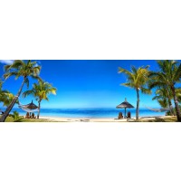 Darin Carroll - Panorama of Tropical Beach  