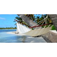 Brooke Ross - Hammock on Palm Tree  