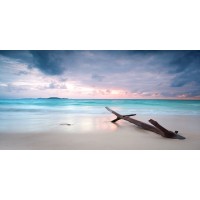 Jenny Troll - Tree trunk on Beach  