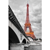 Pero Roshni - Eiffel Tower Monochrome and Red  