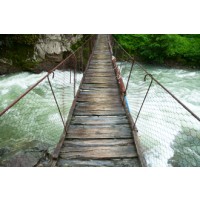 Frank Morse - Suspension Walking Bridge II  
