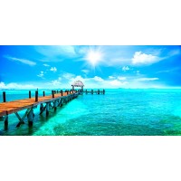 Ann Gavril - Exotic Caribbean Paradise  