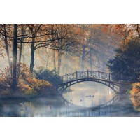 Automn - Old Bride Misty Park  