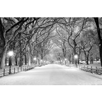 Jameela Danai - Central Park, NY Covered In Snow  