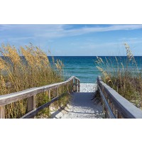 Luis Bond - Beach Boardwalk With Dunes and Sea Oats  