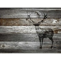 Stephan Adrasteia - Dark Rustic Barn Wood  