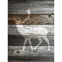 Stephan Adrasteia - Dark Rustic Barn Wood II  