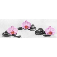 Omar Olavie - Pink Orchids and Zen Stone  