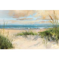 Sally Swatland - Cathcing The Wind  