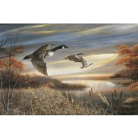 Ruane Manning - Migration South  