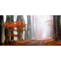Lars Van de Goor - Last Guide before the Mist  