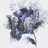 Eva Watts - Exploding Leaf 