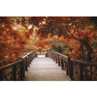 Jessica Jenney - Footbridge 