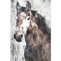 Irena Orlov - Horse Portrait I 