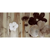 PI Studio - Chocolate And Silver 