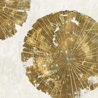 PI Studio - Gold Plate I 