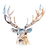 Edward Selkirk - Watercolour Reindeer 