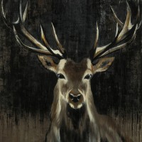 Liz Jardine - Young Buck 