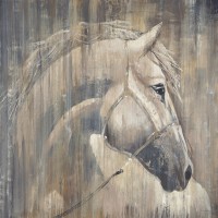 Liz Jardine - His Majesty 