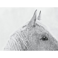 Lisa Cueman - Snow Daze I Square 