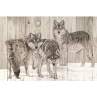 Jacquie Vaux - Three Grey Wolves On Wood 