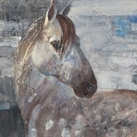 Albena Hristova - Appaloosa 