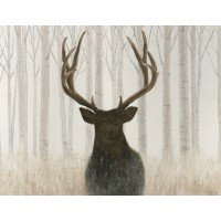 James Wiens - Into the Forest Crop  