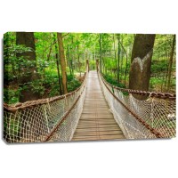 Frank Morse - Suspension Bridge In The Quiet Forest  