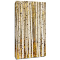 Idan Myrddin - Birch Trunks  