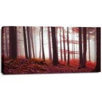 Brian Kurts - Magical Red Forest  