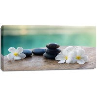 Omar Olavie - White Frangipani On Black Stones  