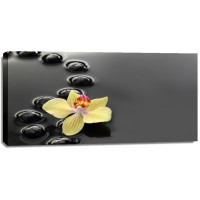 Omar Olavi - Yellow Orchids on Black Stones  