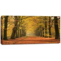 Theodor Climacus - Autumn Forest  