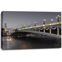 Tim Arrisson - Alexander III Bridge, France  