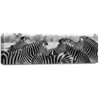 Rogelio Tybalt - Zebra Herd  