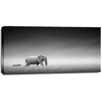 Felicia Roy -Elephant and Zebra Walking  