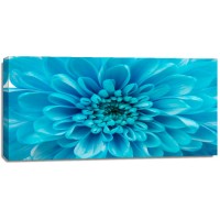 Amanda Raynold - Blue Chrysanthemum  