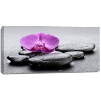 Omar Olavie - Pink Orchid on Black Stones  