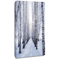 Neela Park - Birch trunks in Winter  