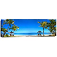 Darin Carroll - Panorama of Tropical Beach  