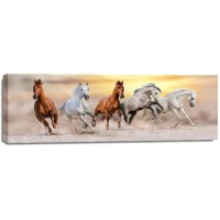 Jocelyn Borivoj - Horse Run In Desert  