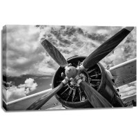 Adrian Smith - Close Up Of Old Airplane  