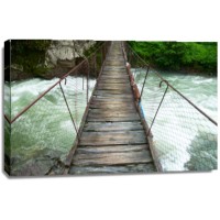 Frank Morse - Suspension Walking Bridge II  