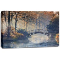 Automn - Old Bride Misty Park  